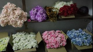 (Category: ) located in . Submitted by jiya8407 (Listing ID 1191423446, Image 1). Description: .