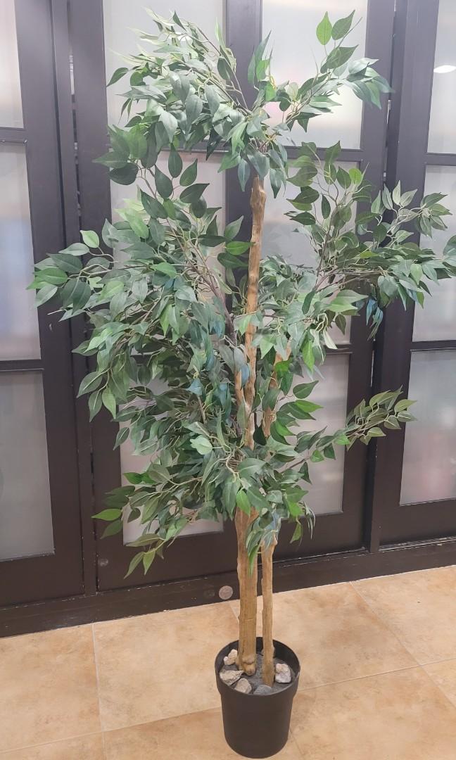 Ikea Fejka Weeping Fig Artificial Plant, 傢俬＆家居, 家居裝飾, 人工植物盆栽 Carousell