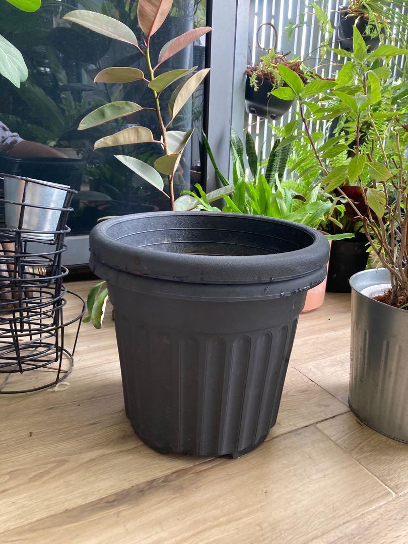 Like New Big Size Plant Pot Plastic Pot Planter Indoor Plant 