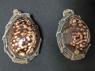 LP pern jumbo biagae