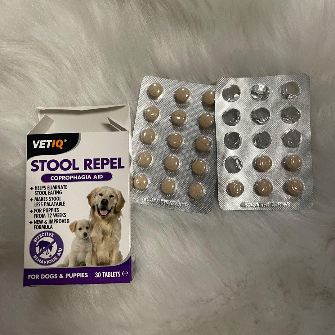 Stool repellent discount for dogs