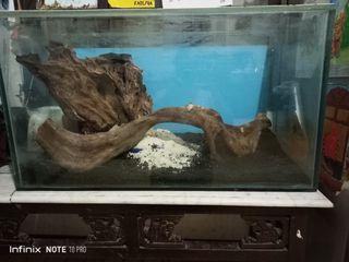 Aquarium