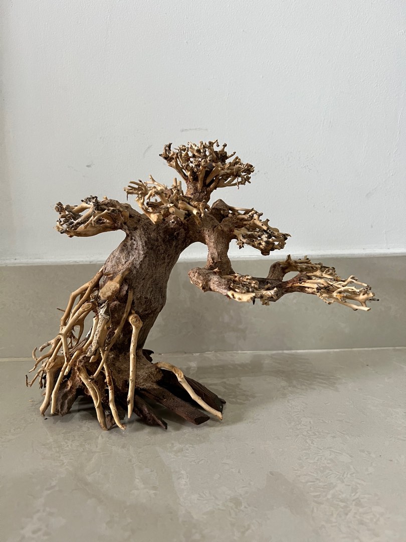 Aquascaping Bonsai Tree, Pet Supplies, Homes & Other Pet Accessories on