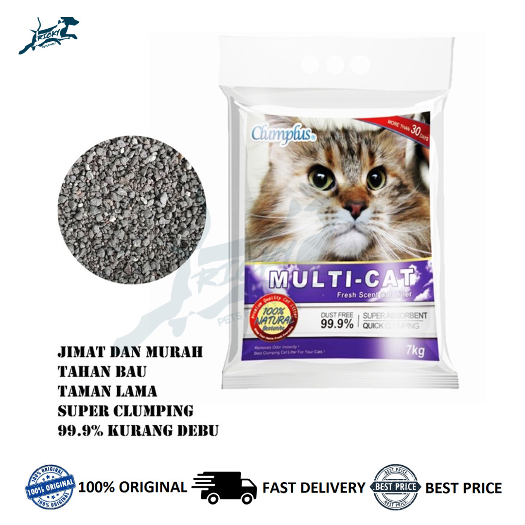 Multi outlet cat litter