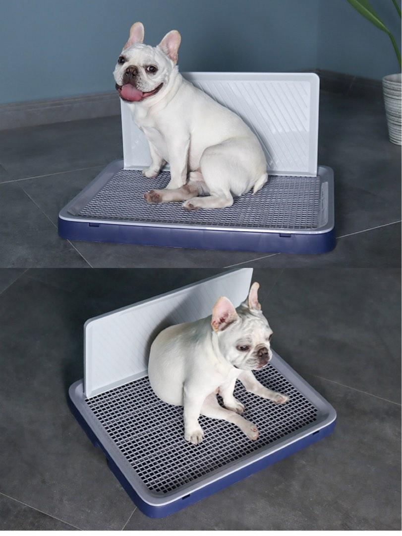 Dog Pee Tray with wall (large), Pet Supplies, Homes & Other Pet