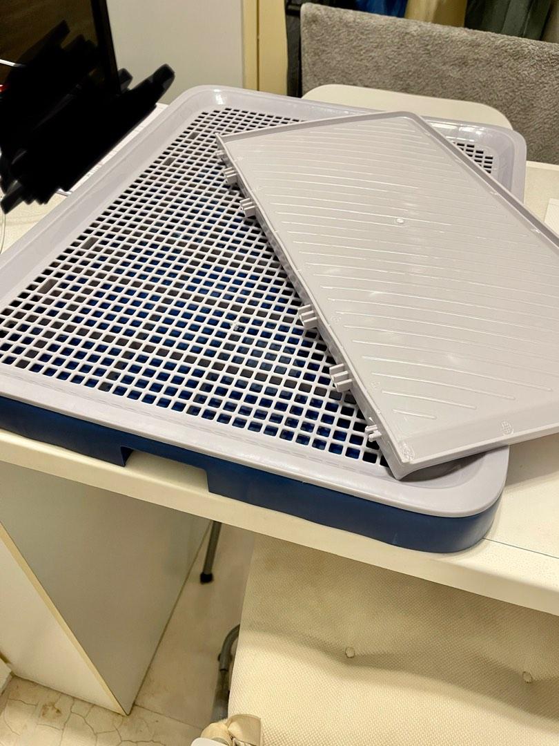 Dog Pee Tray with wall (large), Pet Supplies, Homes & Other Pet