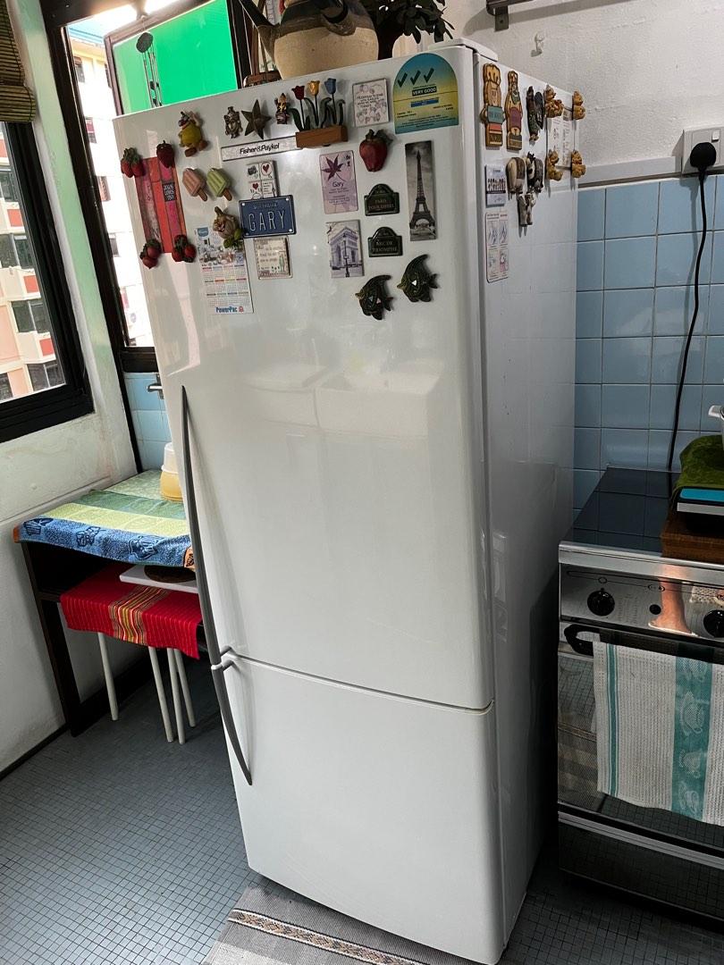 Fisher & Paykel White Fridge, TV & Home Appliances, Kitchen Appliances