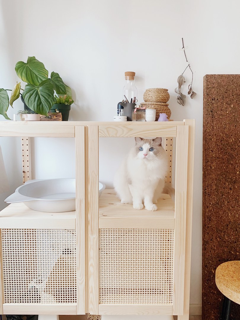 IVAR Rattan Shelf, Furniture & Home Living, Furniture, Shelves