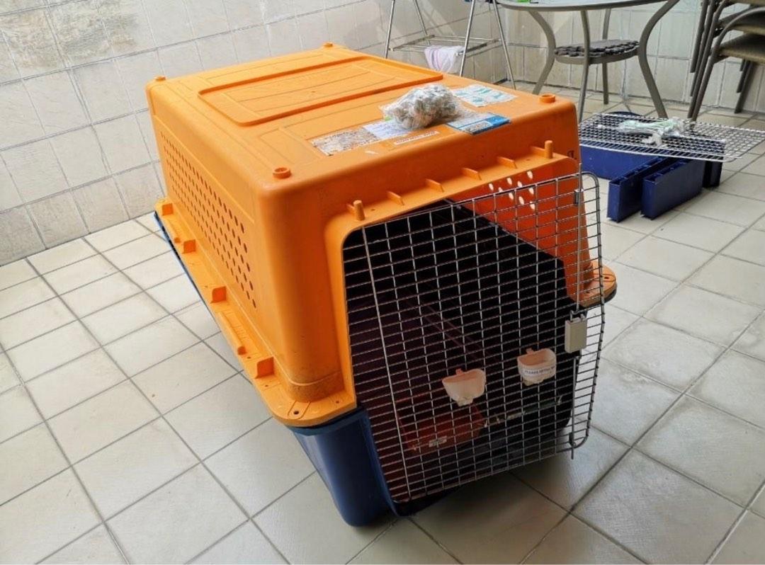 Pet Airline Crate Jumbo, Pet Supplies, Homes & Other Pet Accessories on