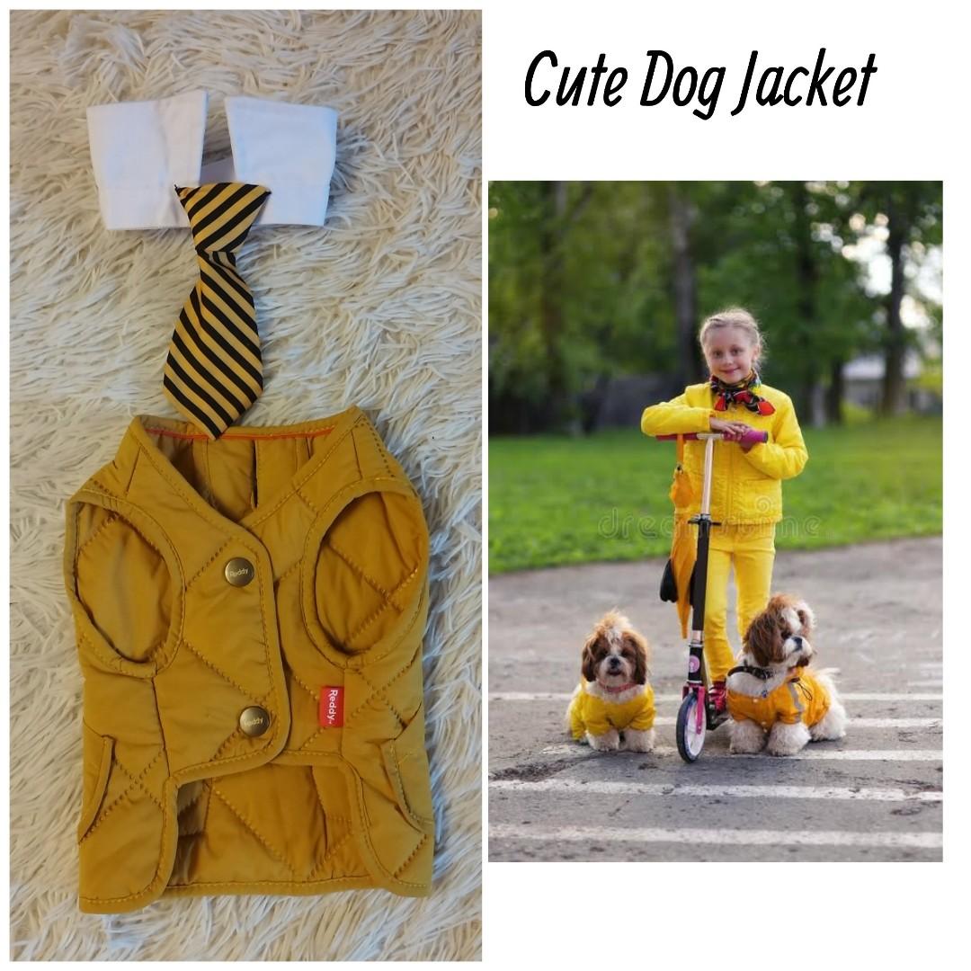 REDDY YELLOW COLORED "QUILTED BOMBER VEST" FOR DOGS, Pet Supplies