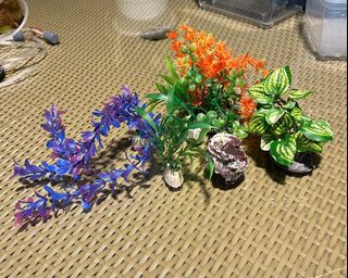 (Category: ) located in . Submitted by beeleow88 (Listing ID 1188352917, Image 1). Description: .