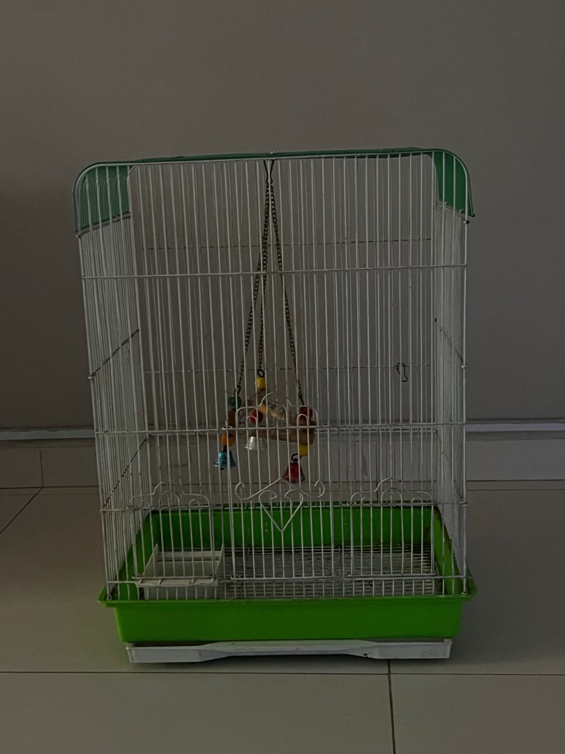 Bird cage, Pet Supplies, Homes & Other Pet Accessories on Carousell