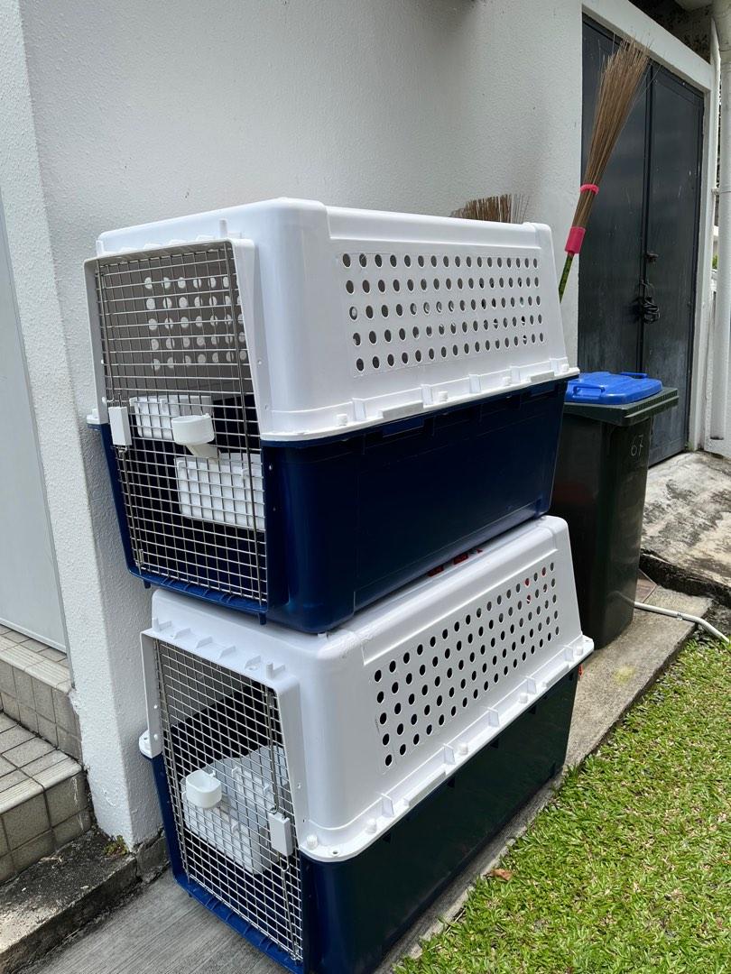 Dog Crates, Pet Supplies, Homes & Other Pet Accessories on Carousell