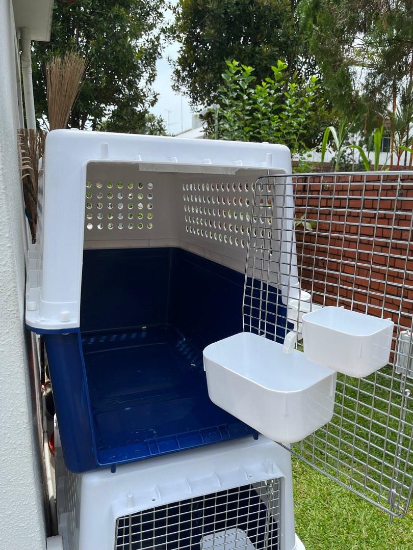 Dog Crates, Pet Supplies, Homes & Other Pet Accessories on Carousell