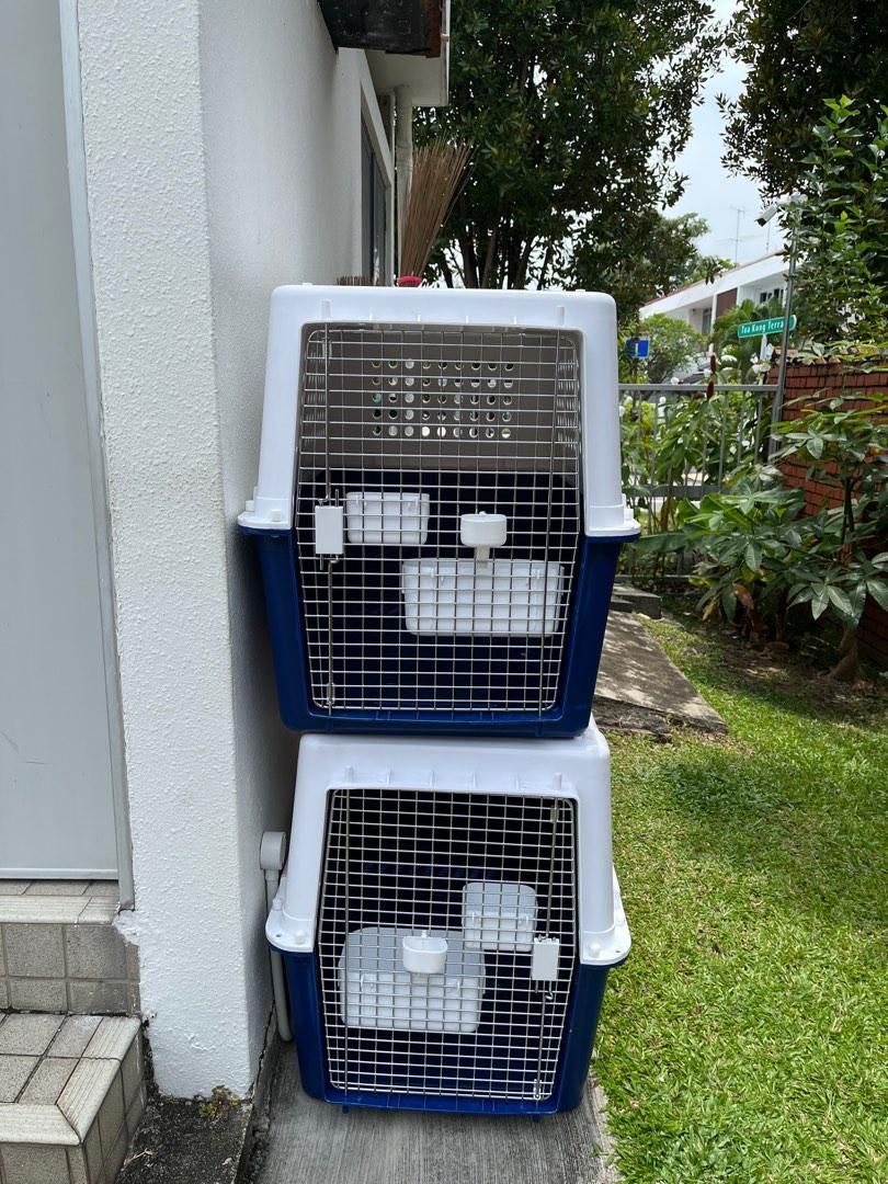 Dog Crates, Pet Supplies, Homes & Other Pet Accessories on Carousell