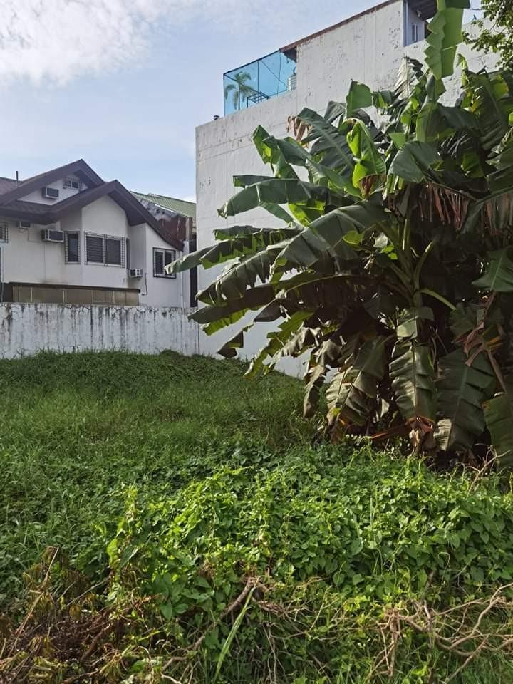 Greenwoods Pasig, Property, For Sale, Lot on Carousell