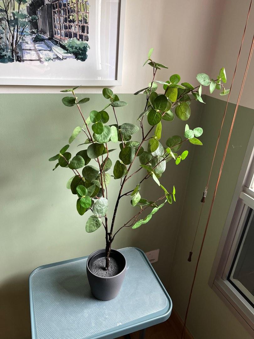 Ikea Artificial Plant w/ Pot, Furniture & Home Living, Home Decor