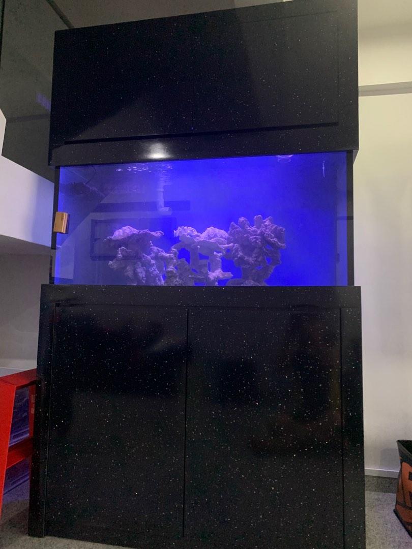 Marine fish deals tank for sale