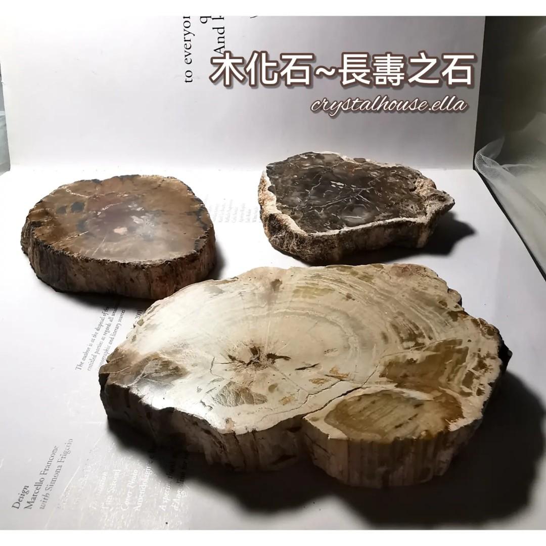 木化石片/長夀之石/消磁淨化充電/鎮宅辟邪/去風濕骨痛（只有3個大Size