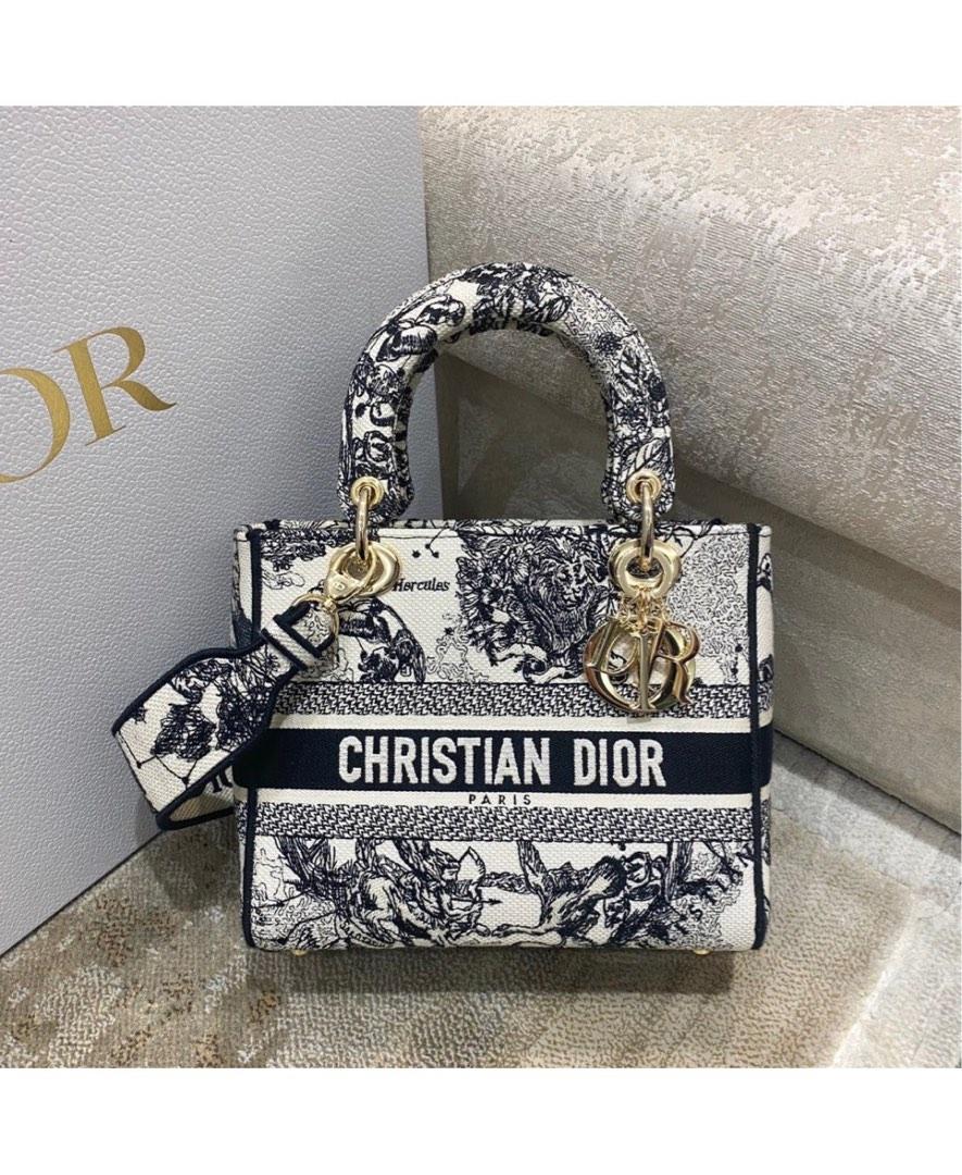 Japan Only] Lady D-Lite Dior Bag — WISHLIST