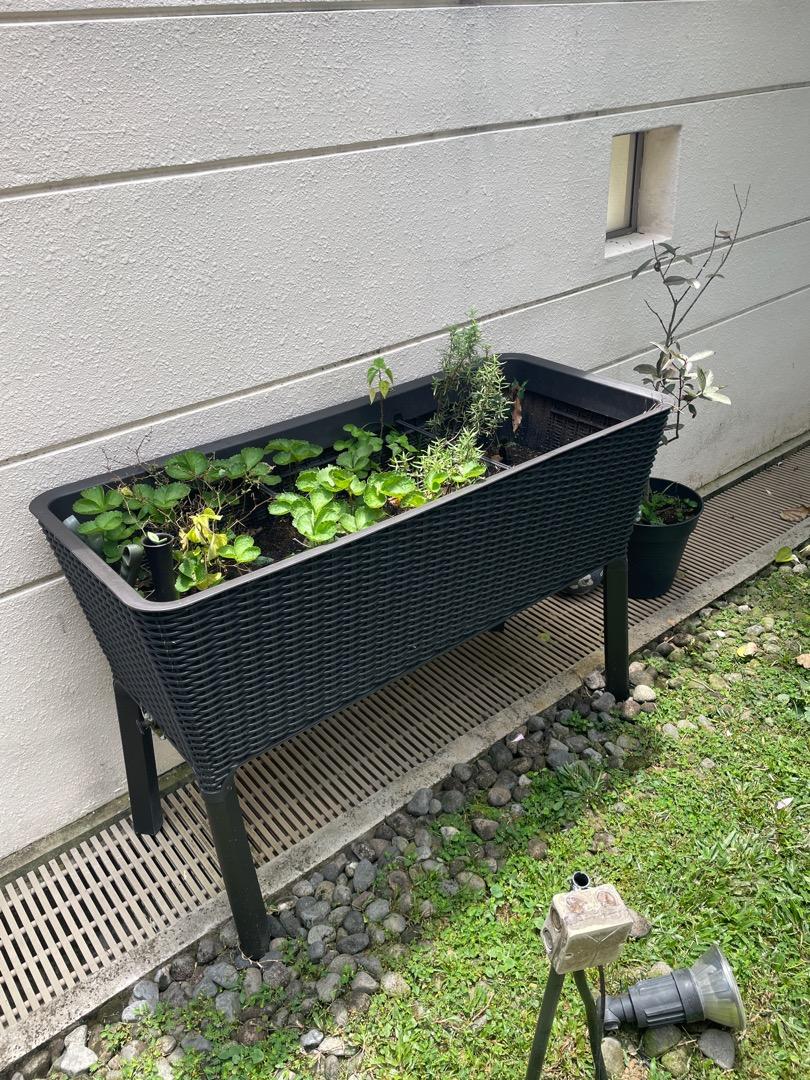 Extra large Planter with draining system, Furniture & Home Living