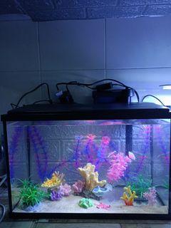 Fish tank