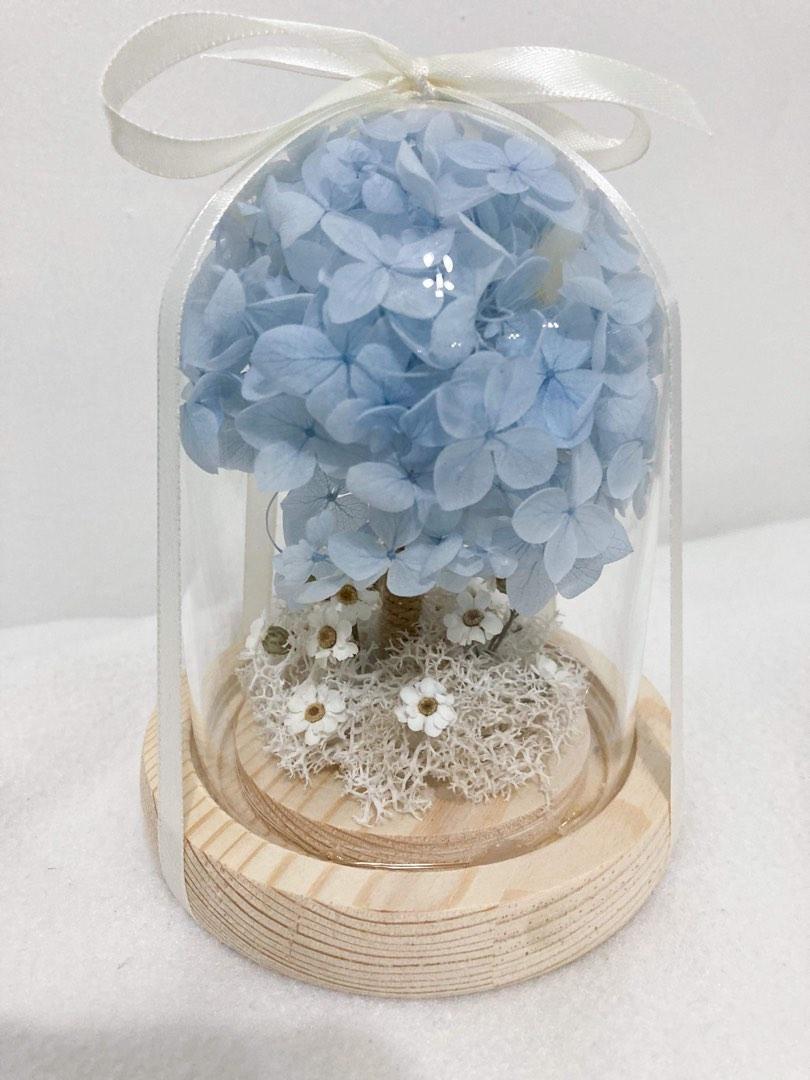 Hydrangea Tree Glass Dome Gift Preserved Hydrangea, Hobbies & Toys