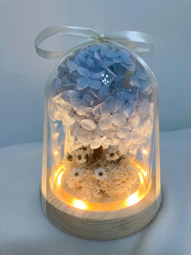 Hydrangea Tree Glass Dome Gift Preserved Hydrangea, Hobbies & Toys