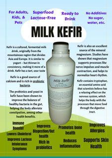 Kefir Probiotic Milk 1 Liter Plain #No sugar #No additives #For Kids & Adults #Ready to drink
