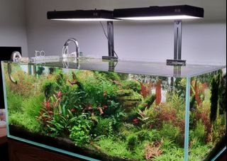 (Category: ) located in . Submitted by jasonaq (Listing ID 1191776788, Image 1). Description: .