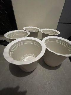 Plastic Pots White Preloved (Big size)