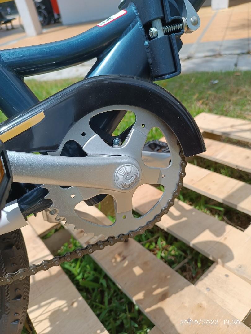 Schwinn Hinge 20