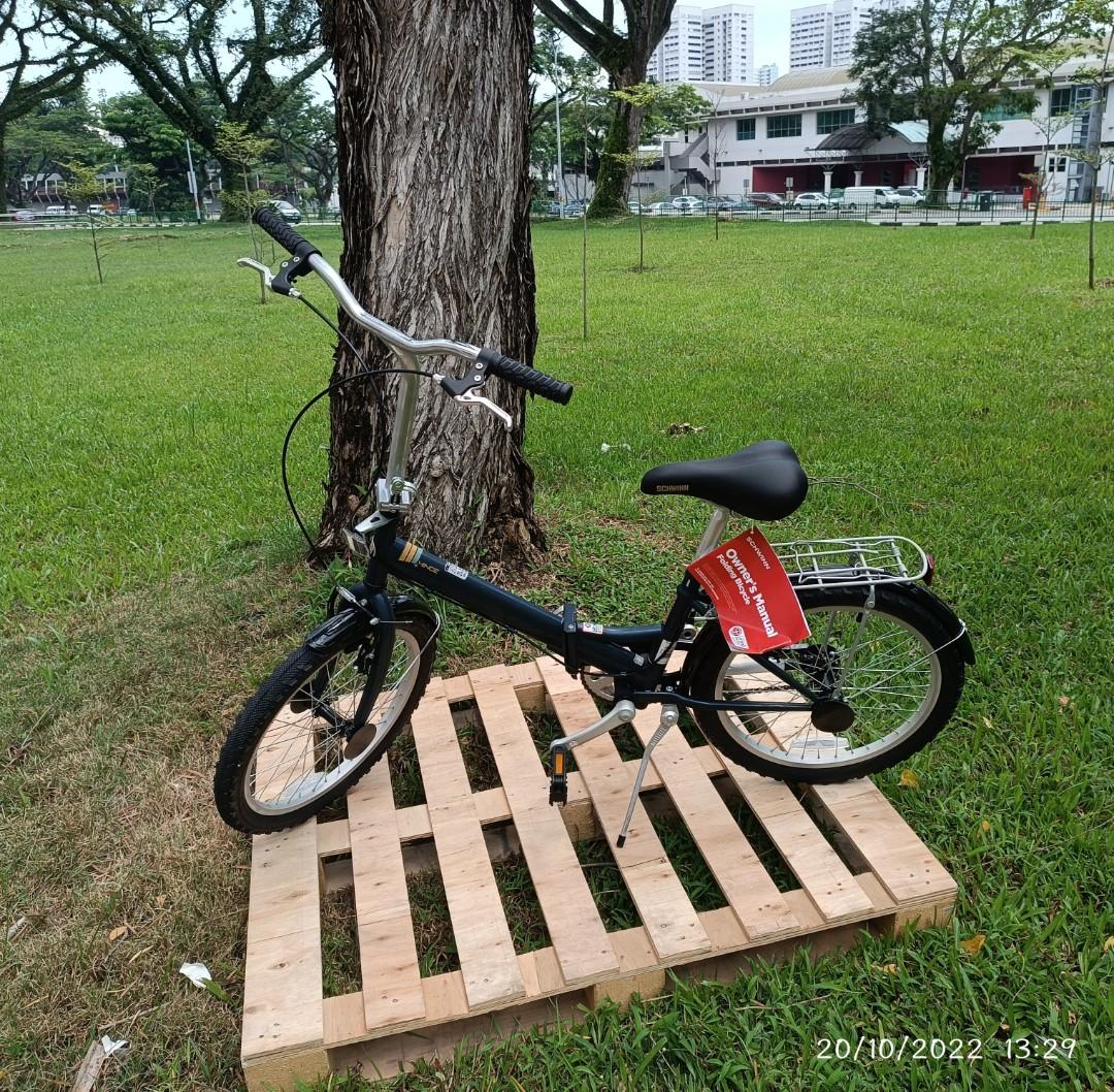 Schwinn Hinge 20