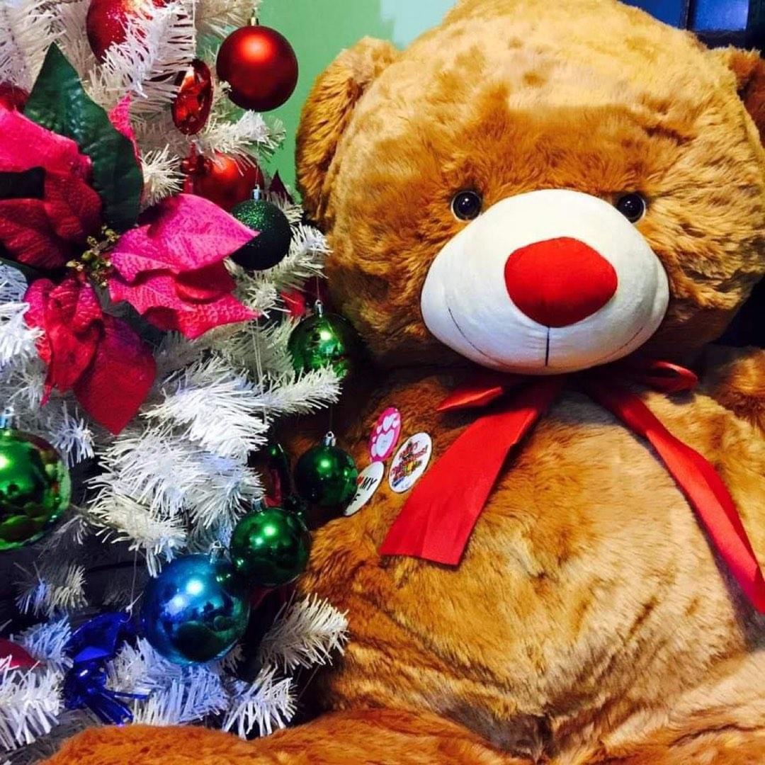 Teddy Bear Life Size (Category: Plushies & Soft Toys) located in Mandaluyong City. Submitted by co.case (Listing ID 1191748489, Image 2). Description: Blue Magic.