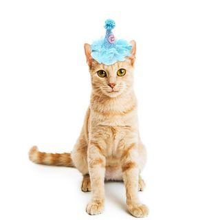 1pc Pet Birthday Hat Glitter Birthday Cone Pet Headband Headwear For Dogs Cats Party Dress Up Hair Accessories Pet Supplies