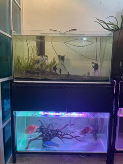 (Category: ) located in . Submitted by jreventar (Listing ID 1192023889, Image 1). Description: .