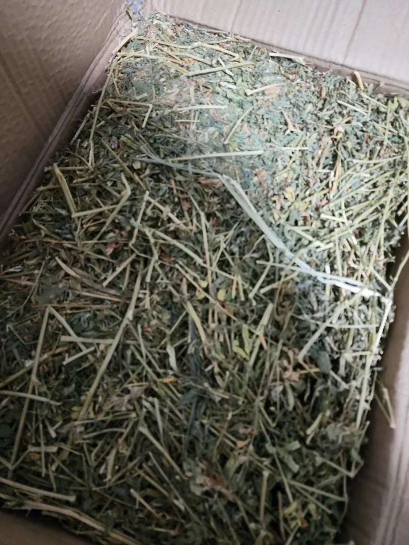 Alfalfa hay 4.5kg rabbit, Pet Supplies, Pet Food on Carousell