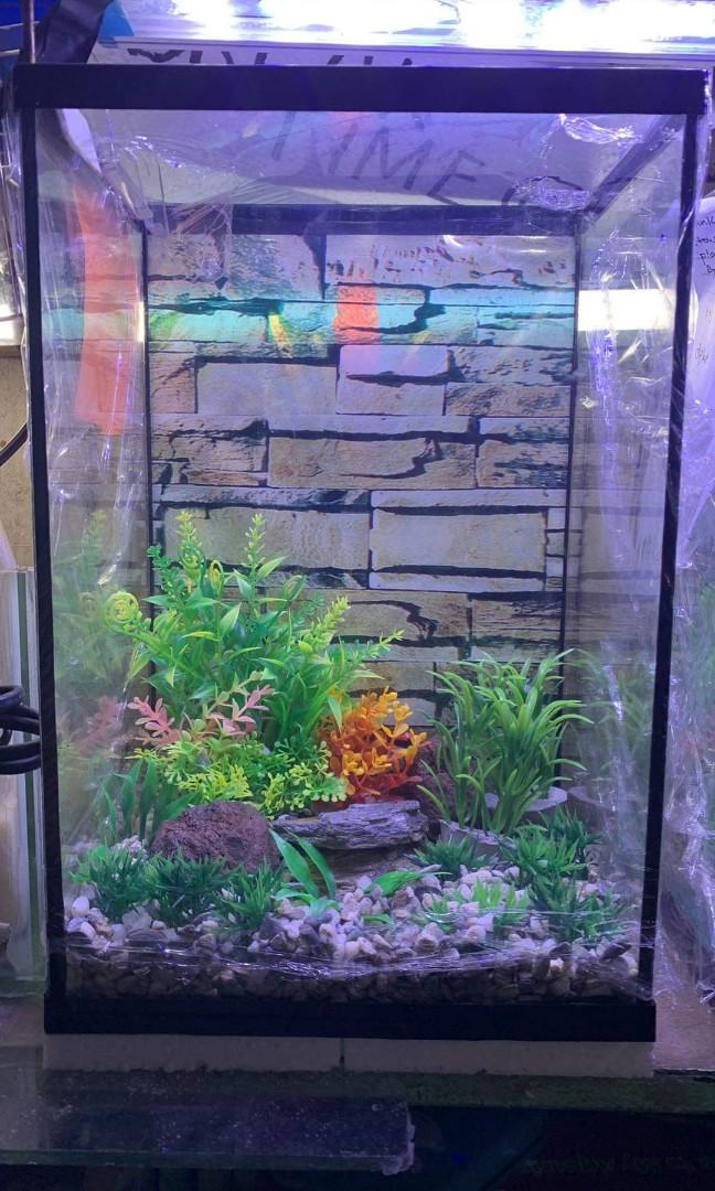 Aquarium for sale in cheap cartimar