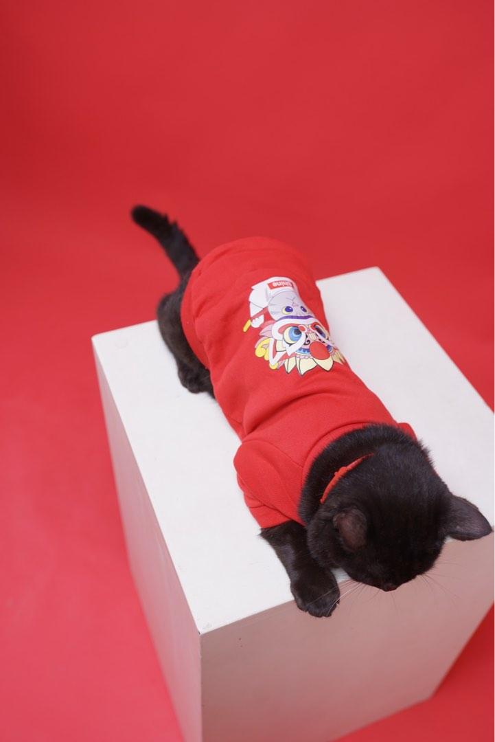 baju kucing semarang