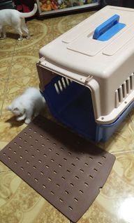 (Category: ) located in . Submitted by pi.ch (Listing ID 1192002174, Image 1). Description: .