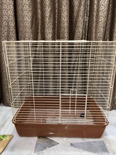 (Category: ) located in . Submitted by reisaichibi (Listing ID 1191992123, Image 1). Description: .