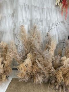 Dried flowers, 3 sets of pampas for sale