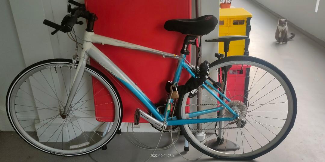 Giant hybrid bicycle for sale., Sports Equipment, Bicycles & Parts ...