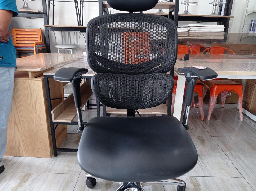 HUMAN V1.0 Ergodynamic Office Chair with Lumbar Back support, Office