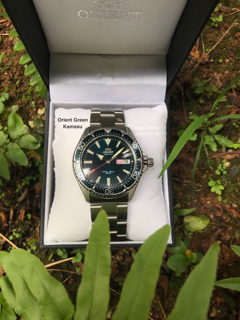 Green kamasu best sale
