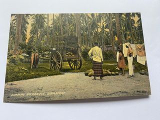 Singapore vintage postcard Collection item 1