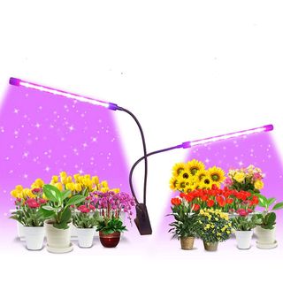 (Category: ) located in . Submitted by minimarketz (Listing ID 1192057908, Image 1). Description: .