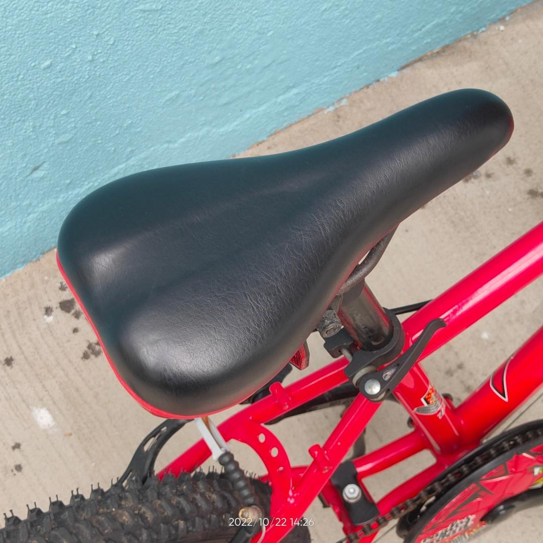 decathlon 22 inch bike