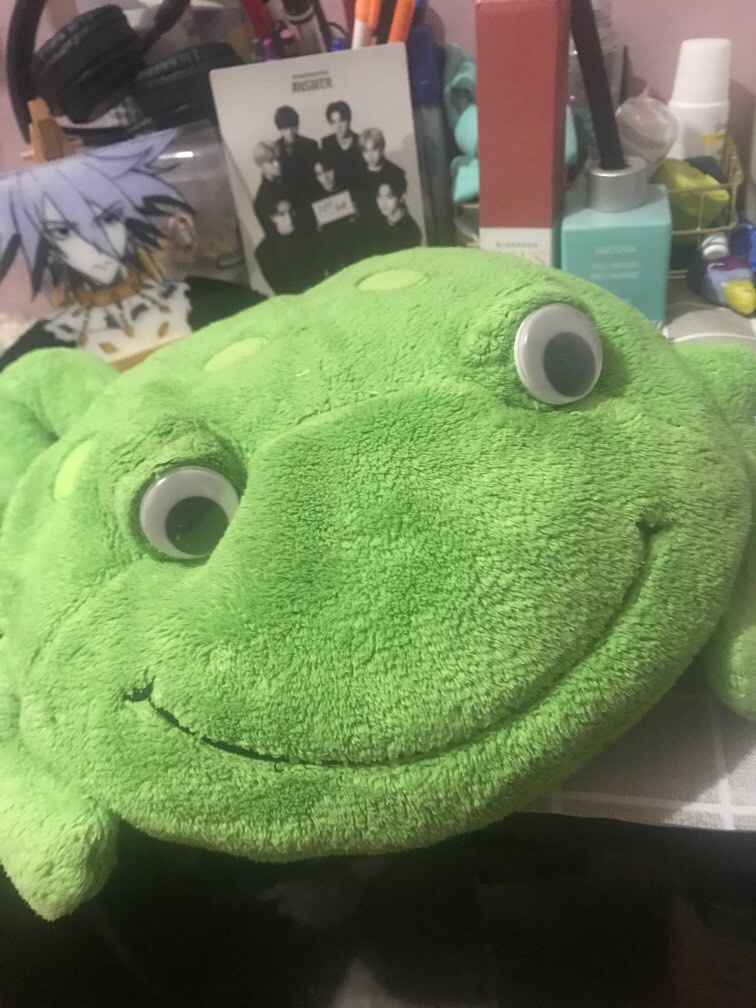 frog-plushie-hobbies-toys-toys-games-on-carousell