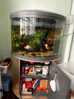 2.5ft Semi-Circle Shape Glass Fish Tank With Cabinet